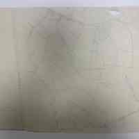 Larch Row Map