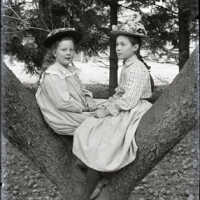 Negative, glass plate