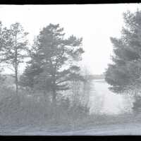 Negative, glass plate