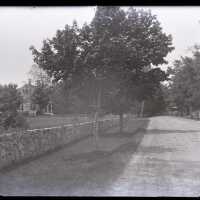 Negative, glass plate