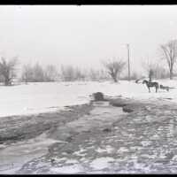 negative, glass plate
