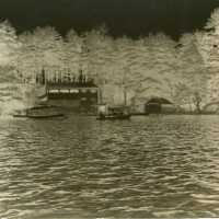 Negative, glass plate