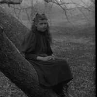 Negative, glass plate