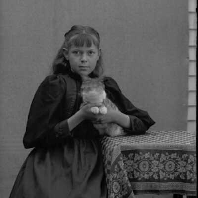 Negative, glass plate