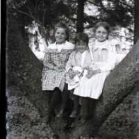 Negative, glass plate