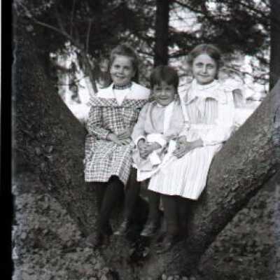 Negative, glass plate