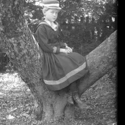 Negative, glass plate