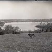 Negative, glass plate