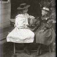 Negative, glass plate