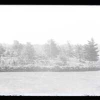 Negative, glass plate