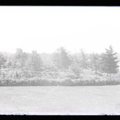 Negative, glass plate