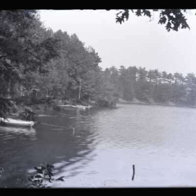 Negative, glass plate