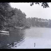 Negative, glass plate