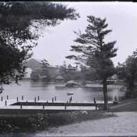 Negative, glass plate