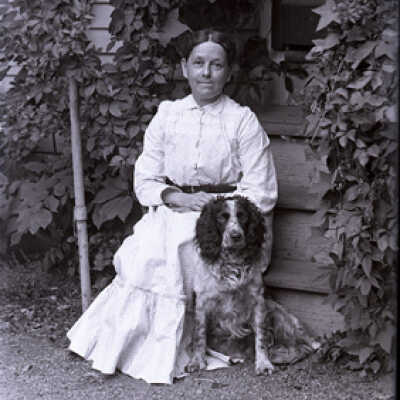 Negative, glass plate