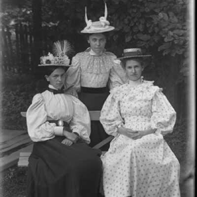 Negative, glass plate