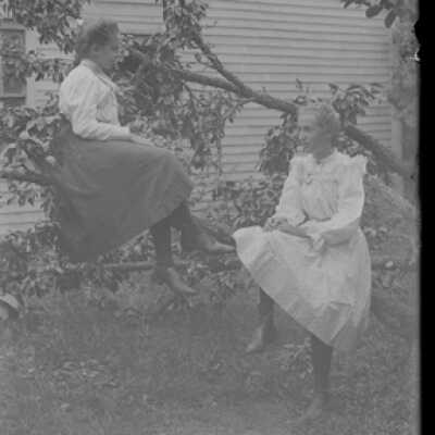 Negative, glass plate