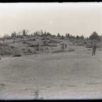 Negative, glass plate