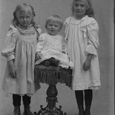 Negative, glass plate