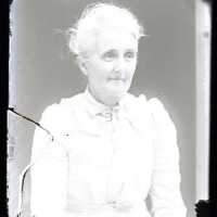 Negative, glass plate