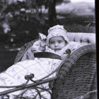 Negative, glass plate