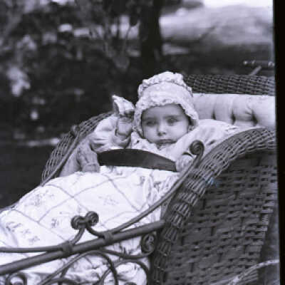 Negative, glass plate