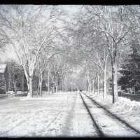 Negative, glass plate