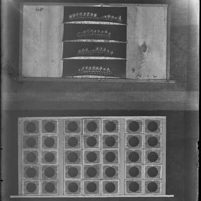 Negative, glass plate
