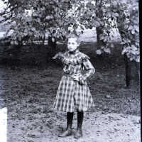 Negative, glass plate