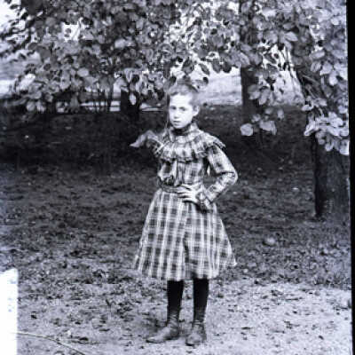 Negative, glass plate
