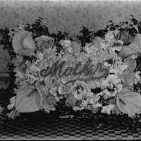 Negative, glass plate