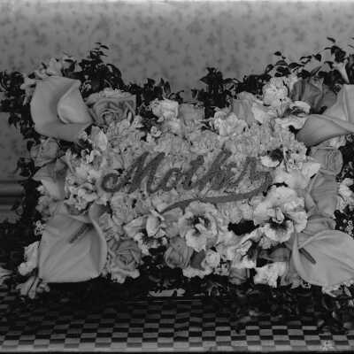 Negative, glass plate