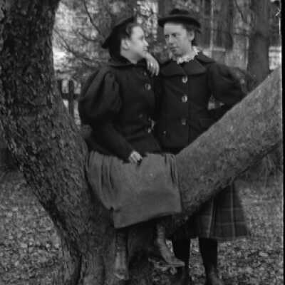 Negative, glass plate