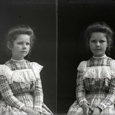 Negative, glass plate