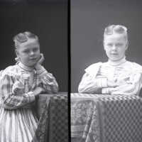 Negative, glass plate