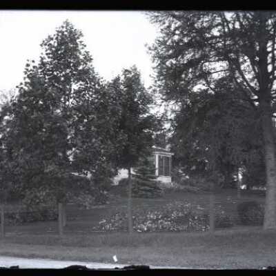 Negative, glass plate