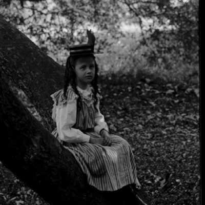 Negative, glass plate