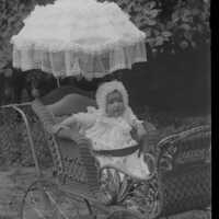 Negative, glass plate