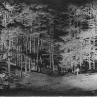 Idlewood Lake