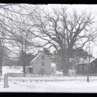 Negative, glass plate