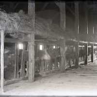 Negative, glass plate