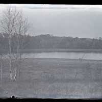 Negative, glass plate
