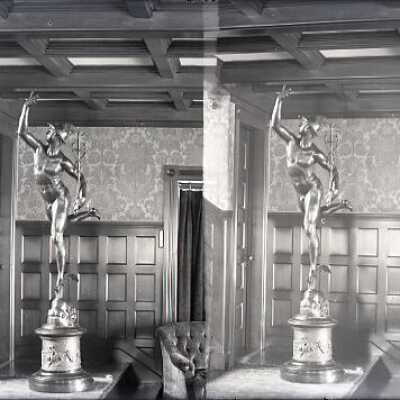 Negative, glass plate