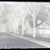 Negative, glass plate