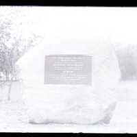 Negative, glass plate