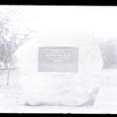Negative, glass plate