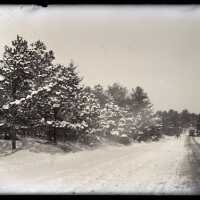 Negative, glass plate