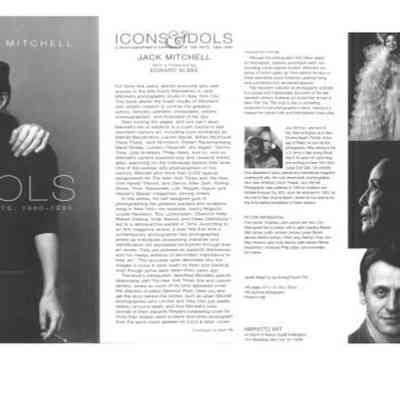 ICONS & IDOLS COVER