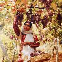 Woman in Beit Dajan Dress (1980s)