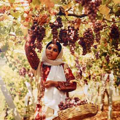 Woman in Beit Dajan Dress (1980s)